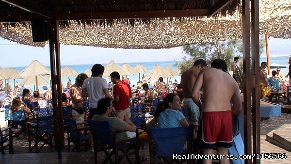 Beach Bar | Camping Surfing Beach | Image #11/16 | 