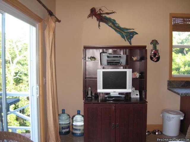 Cottage Living Room Entertainment Center | Exuma Blue-Ocean View  from Jaccuzi Tub in Bedroom | Image #6/20 | 