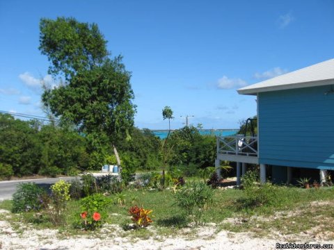 Cottage Landscaping