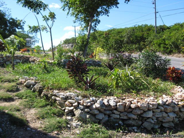 Cottage Landscaping | Exuma Blue-Ocean View  from Jaccuzi Tub in Bedroom | Image #12/20 | 