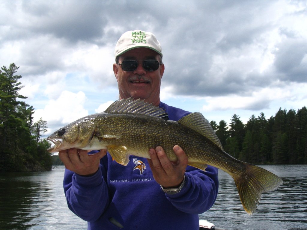 a fat trophy  walleye | Slippery Winds Wilderness Lodge, Yoke Lake Nw Ont. | Image #5/14 | 