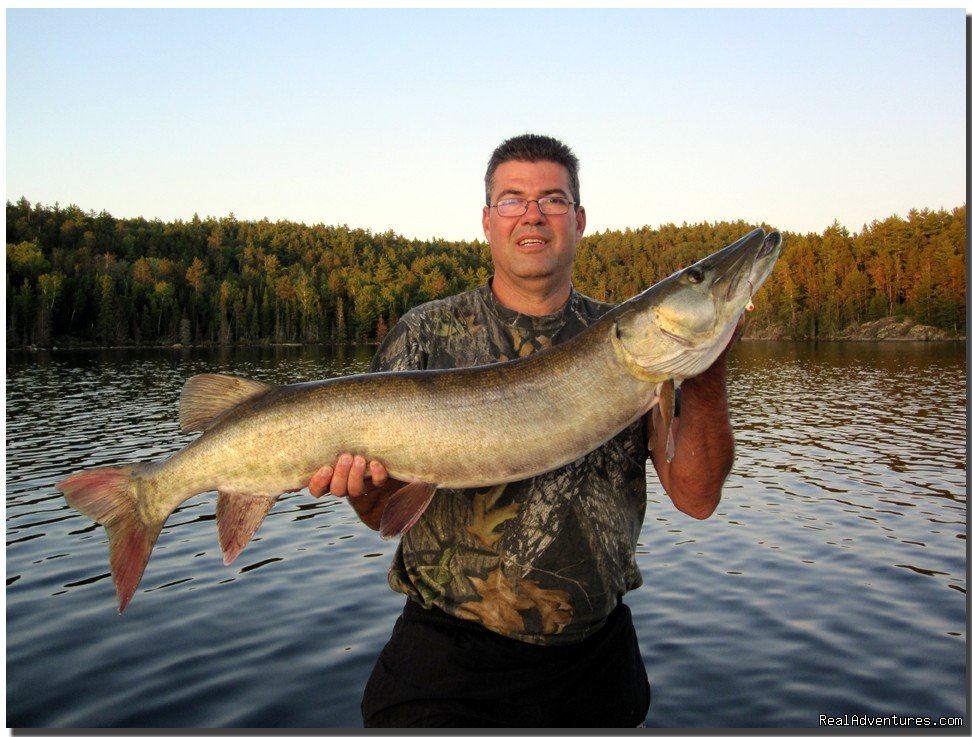 September trophy muskie | Slippery Winds Wilderness Lodge, Yoke Lake Nw Ont. | Image #11/14 | 