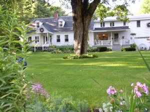 Buttonwood Inn on Mount Surprise