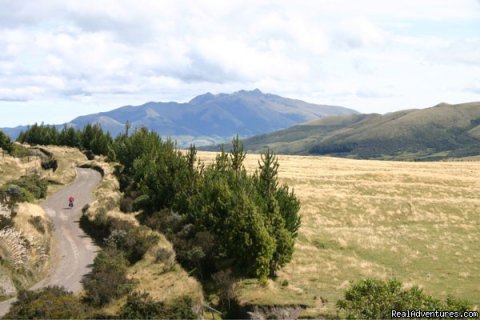 Riding the paramo: Cotopaxi National Park