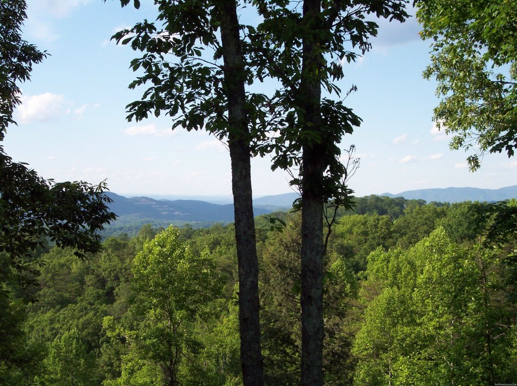 View from deck | Dancing Bear | Image #2/4 | 