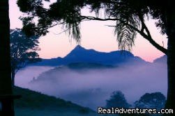 romantic honeymoon destination in Australia | Tweed Coast Hinterland, Australia | Photography