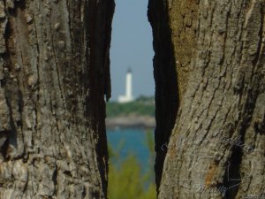 Pictures of Biarritz | Biarritz, France | Photography