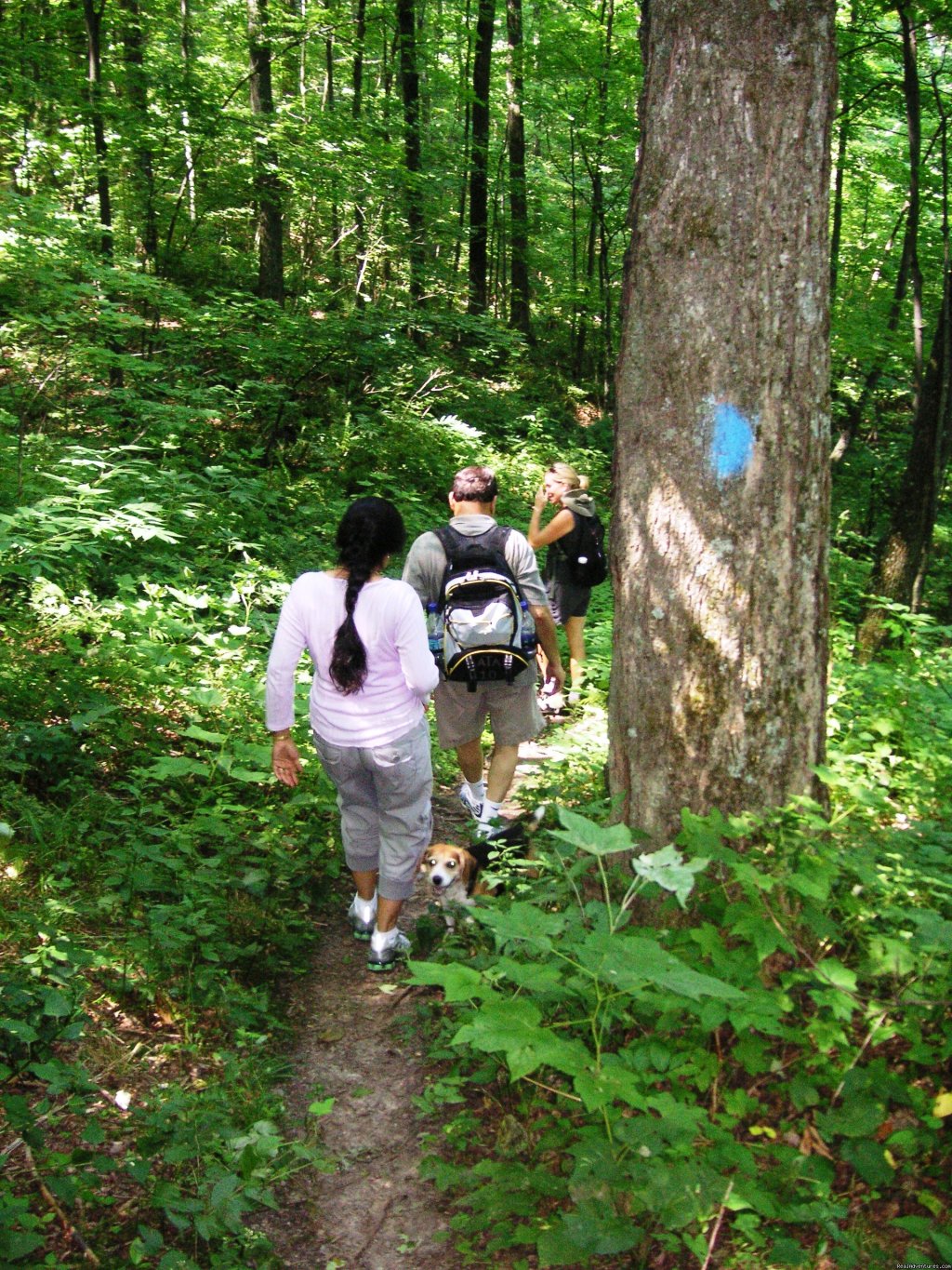 Side hiking trail | Hiking Adventures in Vermont | Image #6/11 | 