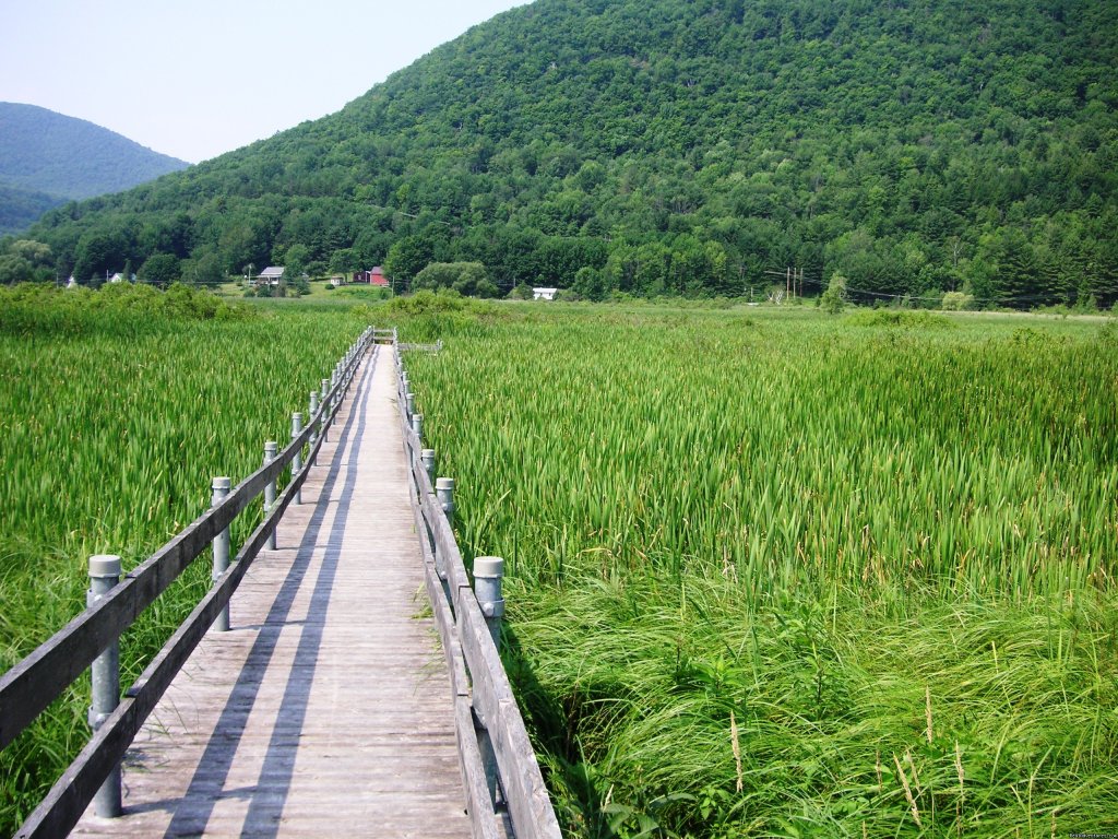 Boardwalk trail | Hiking Adventures in Vermont | Image #7/11 | 