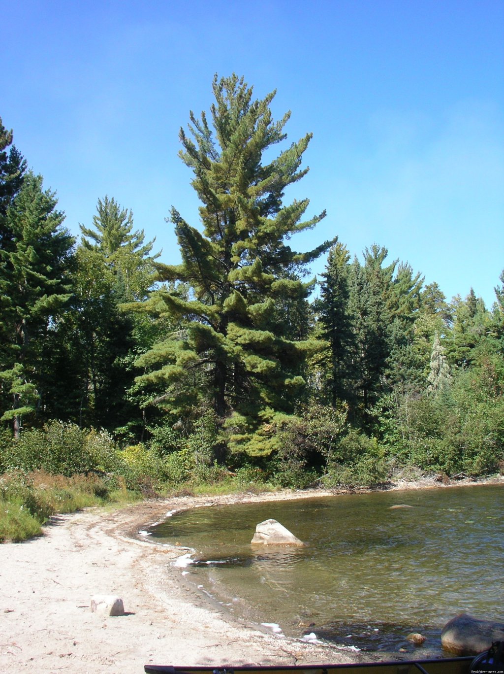 Beautiful sandy shore | Ontario/Quetico Park canoe trip | Image #5/11 | 