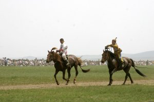 Adventures and treks in Mongolia 