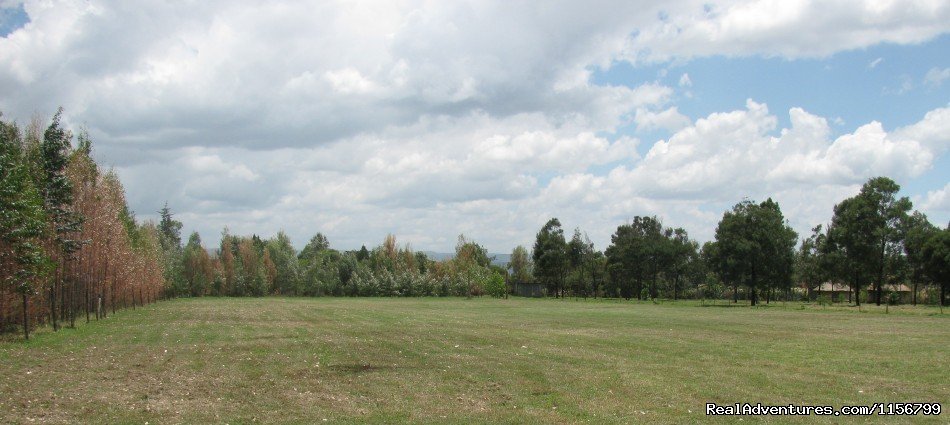 Playground For Various Activities | Pilgrims Acres | Image #3/4 | 