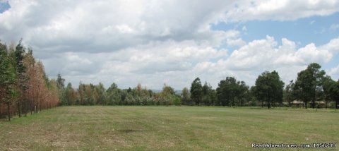 Playground For Various Activities