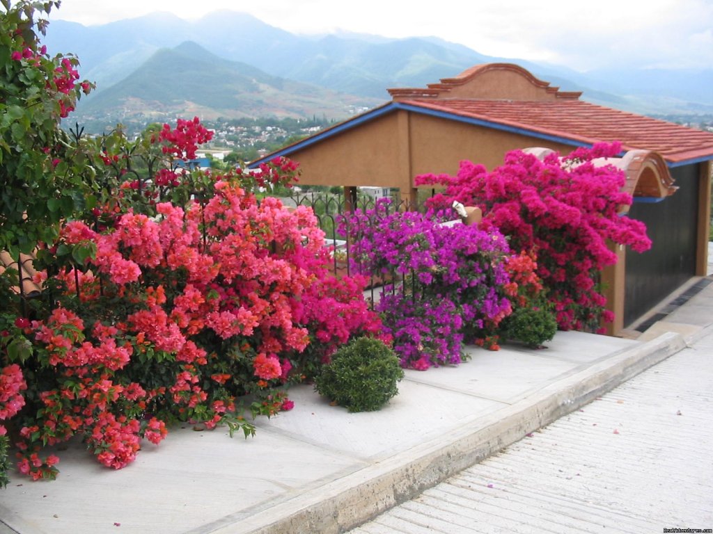 Entranceway to our home | Casa Machaya Oaxaca Bed & Breakfast | Image #2/7 | 