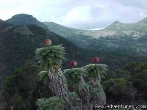 Hiking & Trekking in Ethiopia | Addis Ababa, Ethiopia | Hiking & Trekking