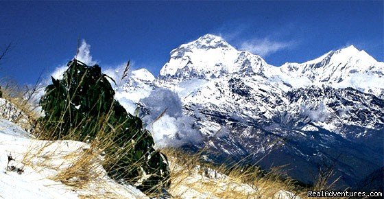 Trekking in Nepal | Adventures trips in Nepal | Image #7/7 | 