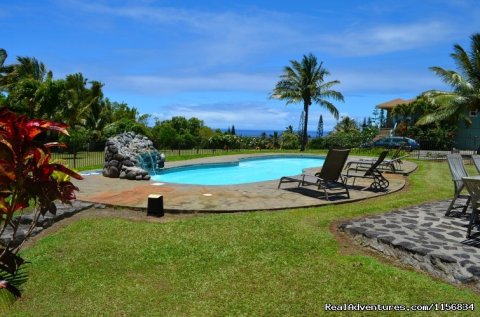 40 Foot Saltwater Pool