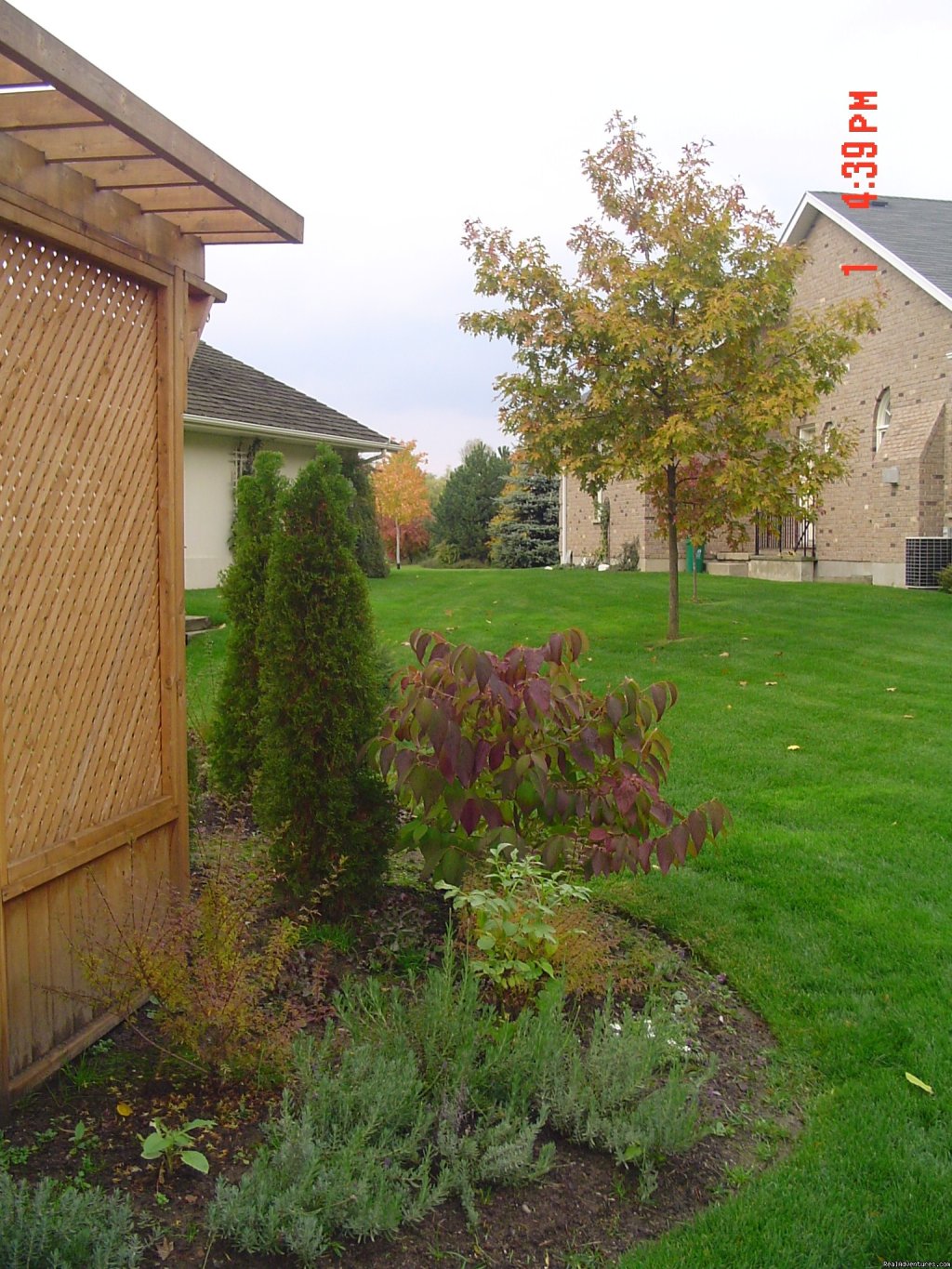 Back yard vista | Ben Brae-on-the-Park | Image #12/17 | 