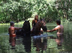 Horseback Riding Near Ocala Florida