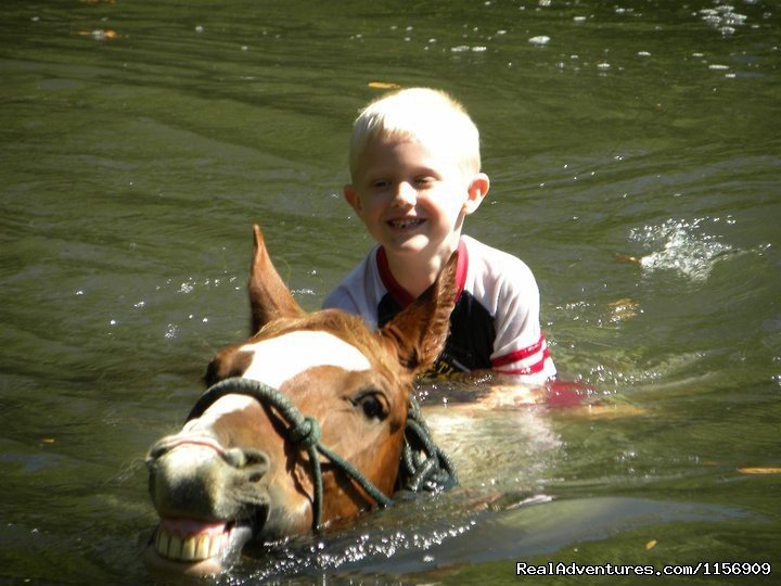 Horseback Riding Near Ocala Florida | Image #20/24 | 