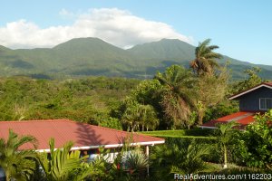 Hotel Sueno Celeste, your B&B close to Rio Celeste