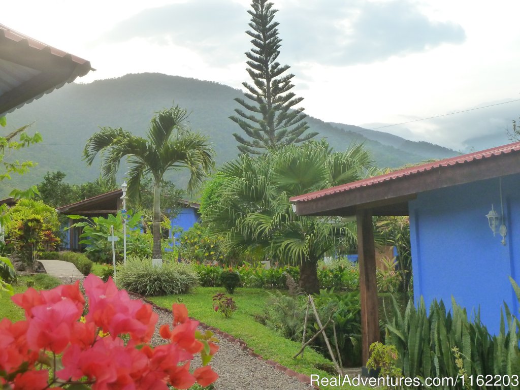 The grounds | Hotel Sueno Celeste, your B&B close to Rio Celeste | Image #2/24 | 