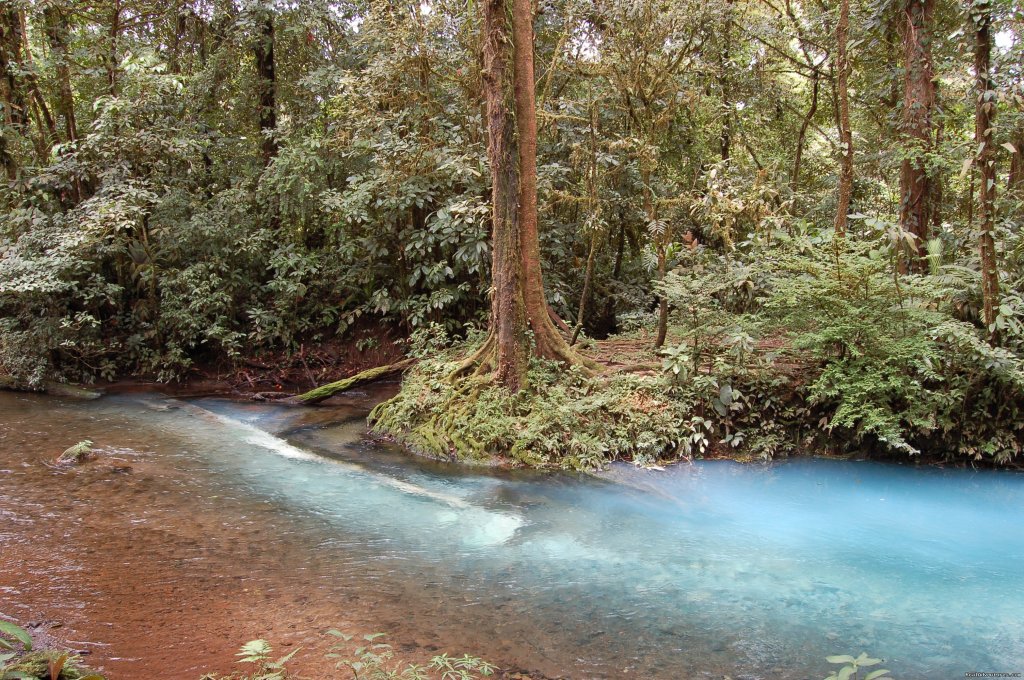 Volcano Tenorio N'l Park | Hotel Sueno Celeste, your B&B close to Rio Celeste | Image #15/24 | 