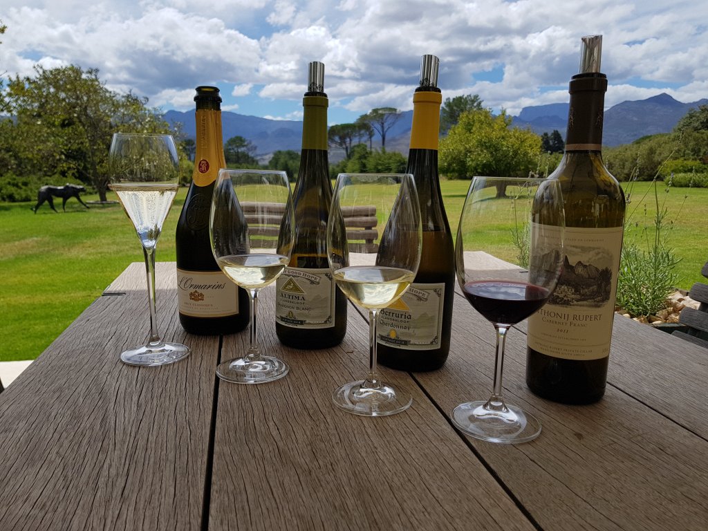 Beautiful Surroundings, Private Tastings | Specialist Cape Winelands Tours With Tsiba Tsiba | Image #6/6 | 