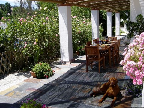 Casa Abuela terrace