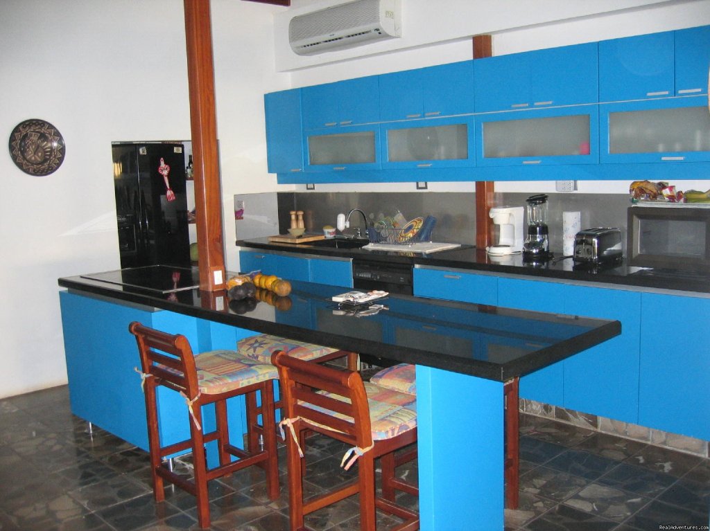 Oceanfront  Vacation Rental Kitchen | Oceanfront Playa Grande Vacation Rental Costa Rica | Image #2/8 | 