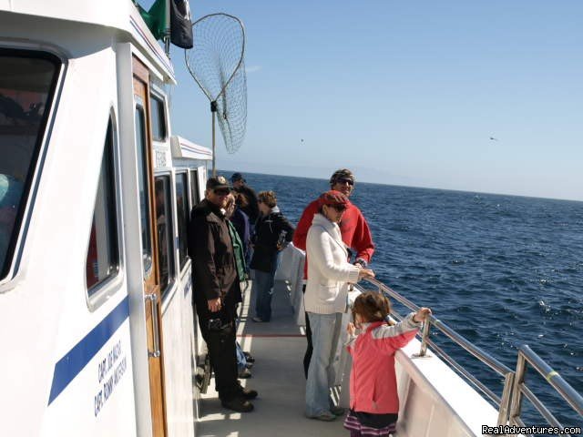 The whole Family | San Francisco whale tours | Image #17/19 | 