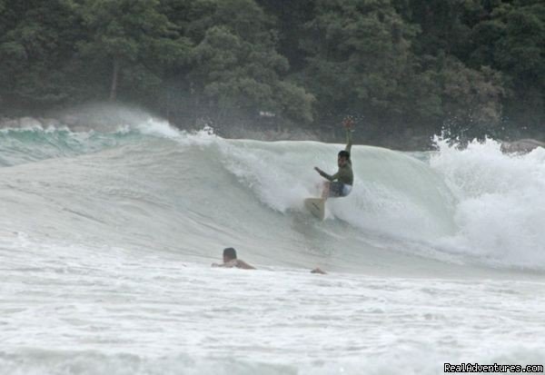 Surfboards | Surfing in Phuket Thailand- Phuket Surf School | Image #4/7 | 