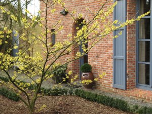 B & B between Ostend and Bruges | Jabbeke, Belgium | Bed & Breakfasts