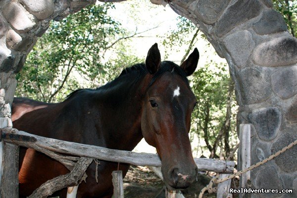 Huga | Horse trekking into the Andes | Image #4/20 | 