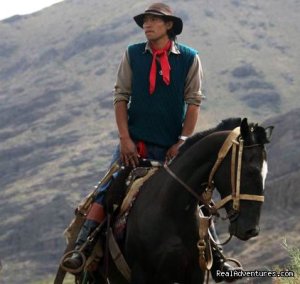 Horse trekking into the Andes