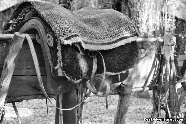 Sky's saddle | Horse trekking into the Andes | Image #15/20 | 