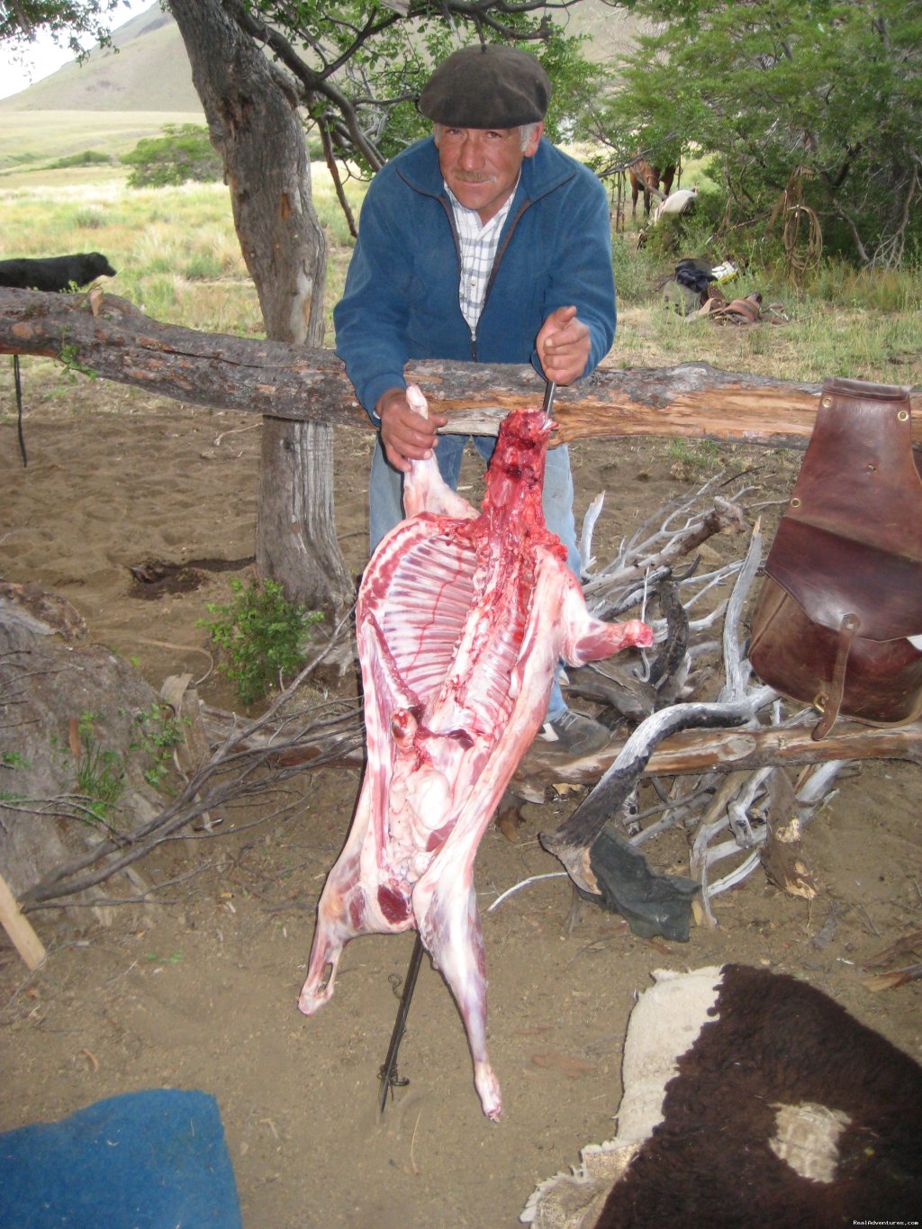 Meat delivery | Horse trekking into the Andes | Image #12/20 | 