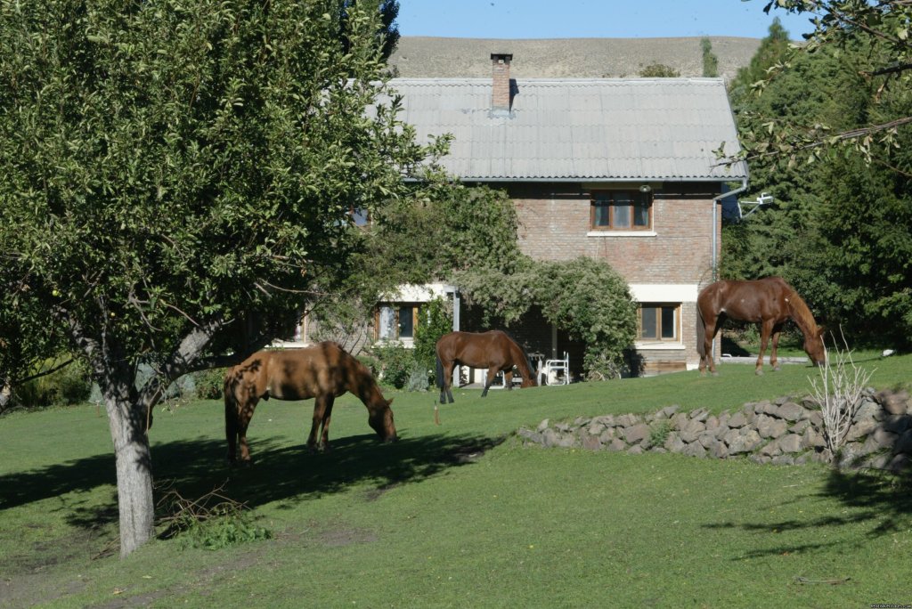 Tha main house | Horseback riding | Image #4/9 | 