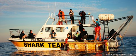 Shark Team Boat