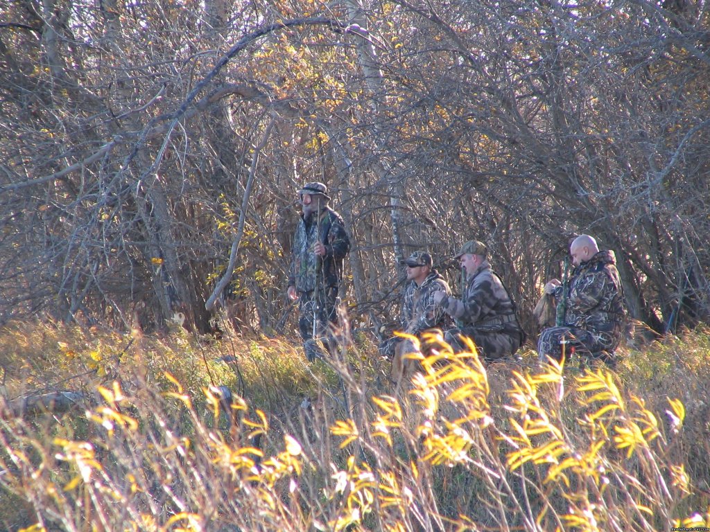 World Class Waterfowl Hunting Alberta | Image #5/25 | 