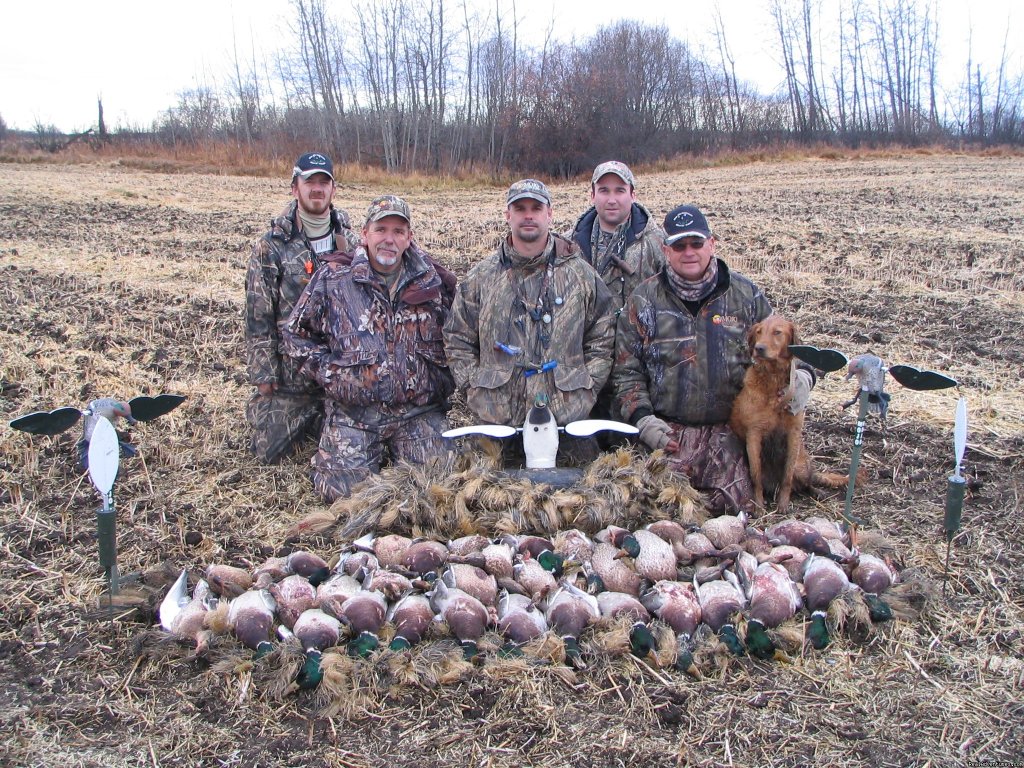 Mojo crew | World Class Waterfowl Hunting Alberta | Image #8/25 | 