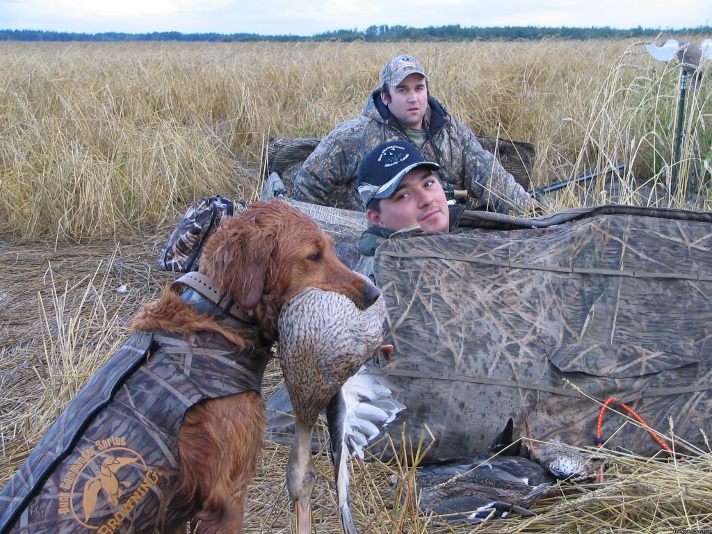 Mrs. Sophie | World Class Waterfowl Hunting Alberta | Image #10/25 | 