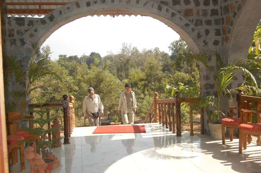 View for forest cover in resorts dinning | Mogli wildlife resort, Kanha and Bandhavgarh,India | Image #3/17 | 