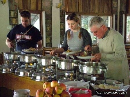 Mogli wildlife resort, Kanha and Bandhavgarh,India | Image #9/17 | 