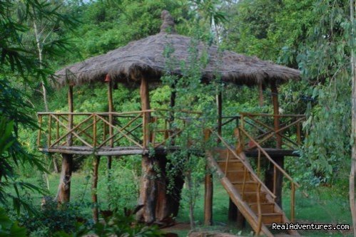 Mogli wildlife resort, Kanha and Bandhavgarh,India | Image #15/17 | 