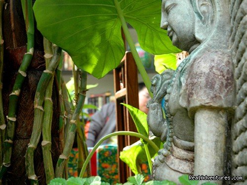 Quiet Frontyard | Beijing Hutong's Antique Courtel | Image #4/6 | 