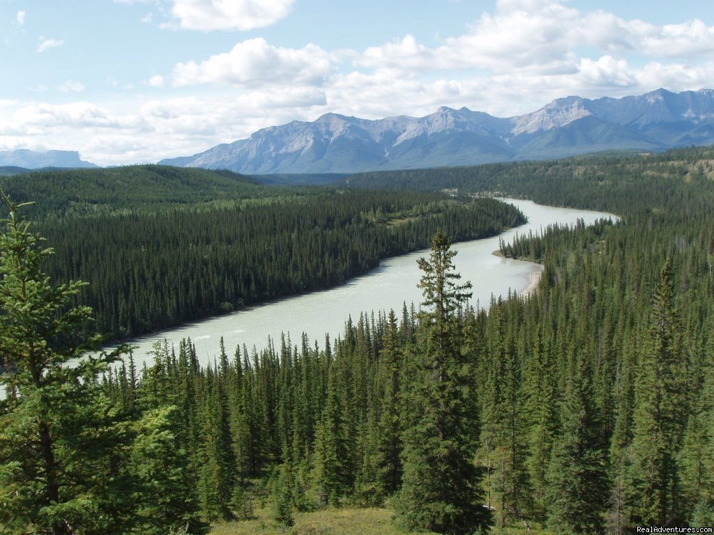 Athabasca River and Alberta Rockies | Old Entrance Cabins & Trail Rides Near Jasper Park | Image #3/12 | 