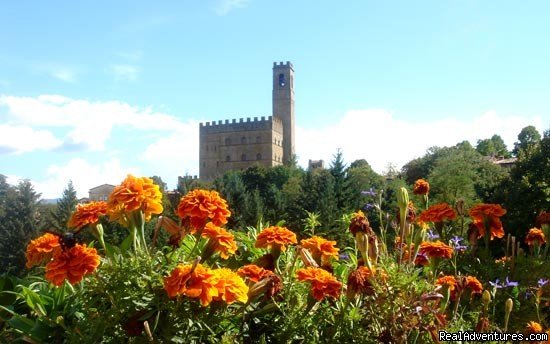 Tuscan Landscape and Colors up close | Visit the 7 Chakras in Beautiful Tuscany | Florence, Italy | Yoga Retreats & Programs | Image #1/4 | 