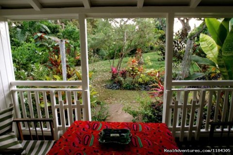 landscape garden from small house inside veranda