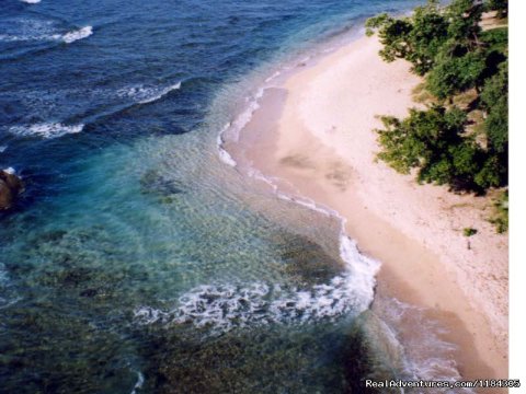 white sand beach on property.